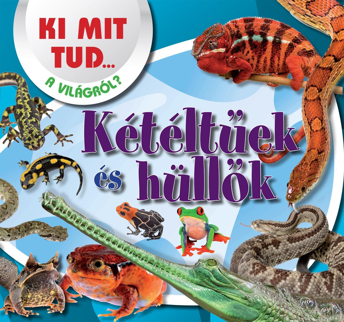 KÉTÉLTŰEK ÉS HÜLLŐK - KI MIT TUD... A VILÁGRÓL? (2014)