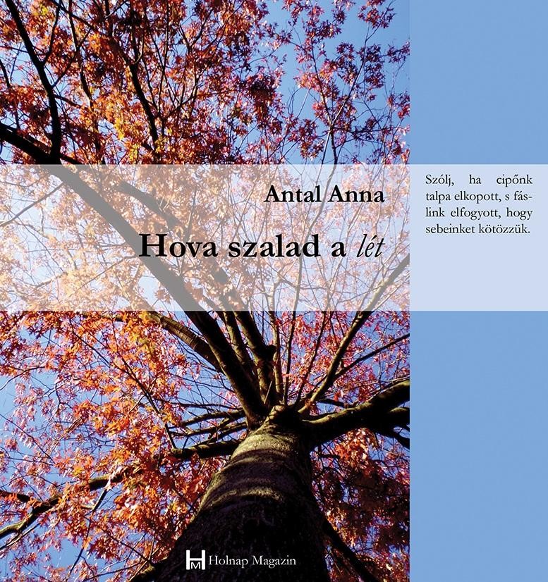 HOVA SZALAD A LÉT (2015)