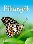 PILLANGÓK (KIS KÖNYVÁR) (2015)