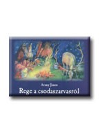 REGE A CSODASZARVASRÓL