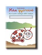 KIS GYORSÍRÓ - HARMADIK OSZTÁLY -