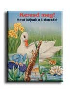 KERESD MEG! HOVÁ BÚJNAK A KISKACSÁK?