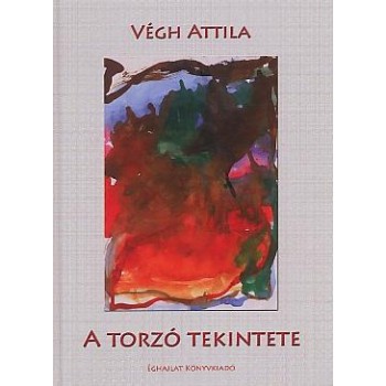 A TORZÓ TEKINTETE (2010)