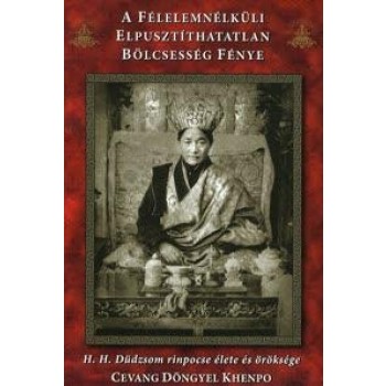 A FÉLELEMNÉLKÜLI ELPUSZTÍTHATATLAN BÖLCSESSÉG FÉNYE (2010)