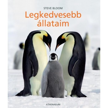 LEGKEDVESEBB ÁLLATAIM - (2010)