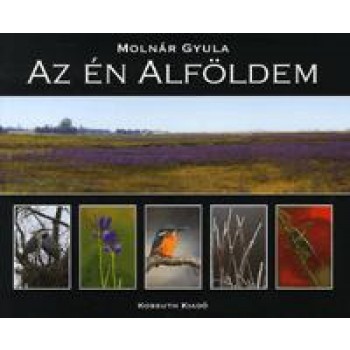 AZ ÉN ALFÖLDEM (2010)