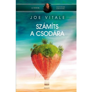 SZÁMÍTS A CSODÁRA! (2010)