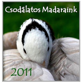 CSODÁLATOS MADARAINK - NAPTÁR 2011. (2010)