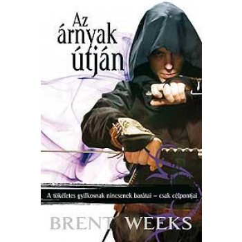 AZ ÁRNYAK ÚTJÁN - ÉJANGYAL TRILÓGIA 1. - FŰZÖTT - (2010)