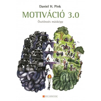 MOTIVÁCIÓ 3.0 - ÖSZTÖNZÉS MÁSKÉPP (2010)