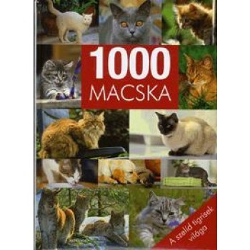 1000 MACSKA - A SZELÍD TIGRISEK VILÁGA (2010)