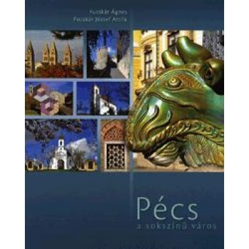 PÉCS - A SOKSZÍNŰ VÁROS (2010)