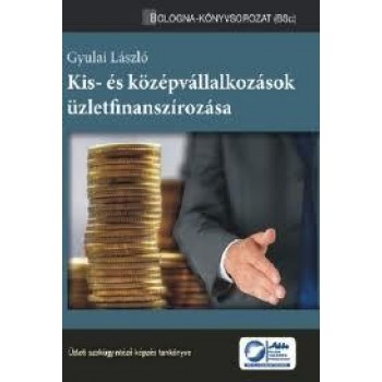 KIS- ÉS KÖZÉPVÁLLALKOZÁSOK ÜZLETFINANSZÍROZÁSA (2011)