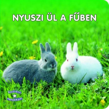 NYUSZI ÜL A FŰBEN - KEDVENC MONDÓKÁIM (2011)
