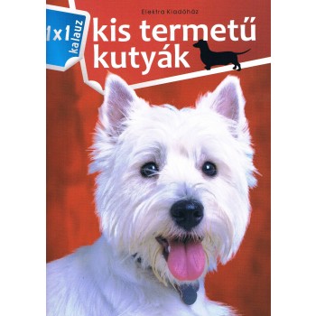 KIS TERMETŰ KUTYÁK - 1X1 KALAUZ (2010)