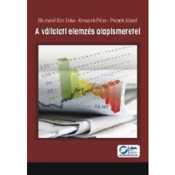 A VÁLLALATI ELEMZÉS ALAPISMERETEI (2011)