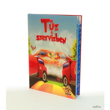 TŰZ A SZERVIZBEN (2010)