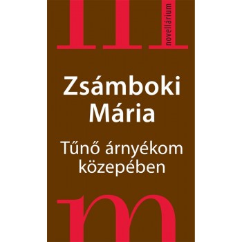 TŰNŐ ÁRNYÉKOM KÖZEPÉBEN (2011)