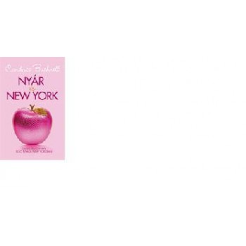 NYÁR ÉS NEW YORK (2011)