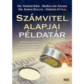 SZÁMVITEL ALAPJAI PÉLDATÁR (2011)