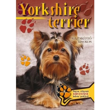 YORKSHIRE TERRIER - GAZDIKÉPZŐ KISOKOS (2011)