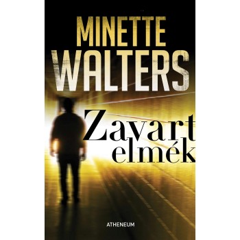 ZAVART ELMÉK (2011)