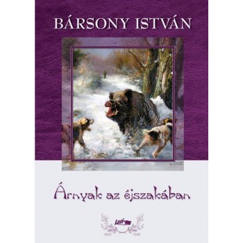 ÁRNYAK AZ ÉJSZAKÁBAN (2011)