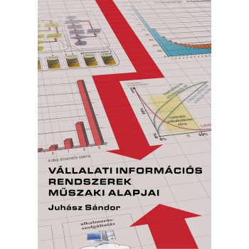 VÁLLALATI INFORMÁCIÓS RENDSZEREK MŰSZAKI ALAPJAI (2011)