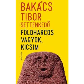 FÖLDHARCOS VAGYOK, KICSIM (2011)
