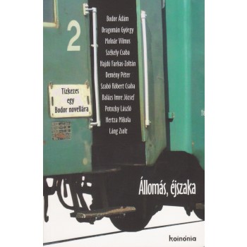 ÁLLOMÁS, ÉJSZAKA (2011)