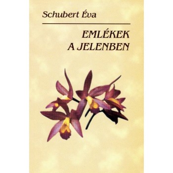 EMLÉKEK A JELENBEN (2011)