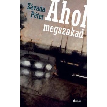 AHOL MEGSZAKAD (2012)