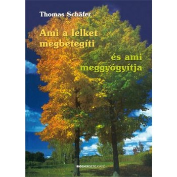 AMI A LELKET MEGBETEGÍTI - ÉS AMI MEGGYÓGYÍTJA - ÁTDOLG. KIAD. (2012)