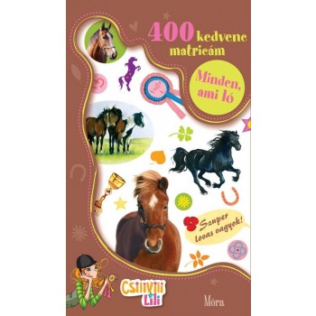 MINDEN, AMI LÓ - 400 KEDVENC MATRICÁM - CSILIVILI LILI (2012)
