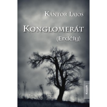 KONGLOMERÁT (ERDÉLY) (2012)