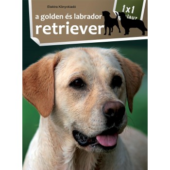 A GOLDEN ÉS A LABRADOR RETRIEVER - 1X1 KALAUZ (2011)
