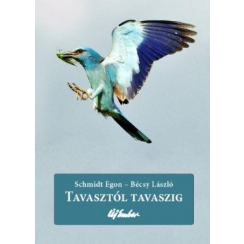 TAVASZTÓL TAVASZIG (2012)