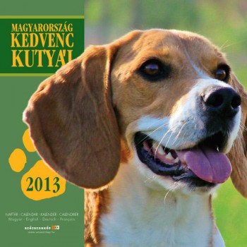 MAGYARORSZÁG KEDVENC KUTYÁI - NAPTÁR 2013 (22*22) (2012)