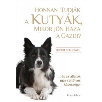 HONNAN TUDJÁK A KUTYÁK, MIKOR JÖN HAZA A GAZDI? (2012)