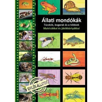 ÁLLATI MONDÓKÁK - TÜCSKÖK, BOGARAK ÉS A TÖBBIEK - MATRICÁKKAL ÉS JÁTÉKKÁRTYÁKK. (2012)