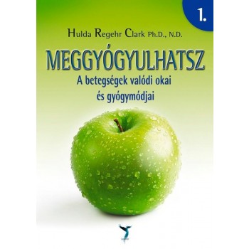 MEGGYÓGYULHATSZ 1-2. - A BETEGSÉGEK VALÓDI OKAI ÉS GYÓGYMÓDJAI (2013)