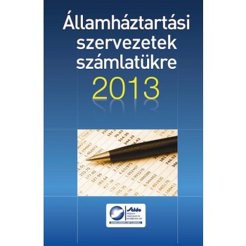 ÁLLAMHÁZTARTÁSI SZERVEZETEK SZÁMLATÜKRE 2013 (2013)