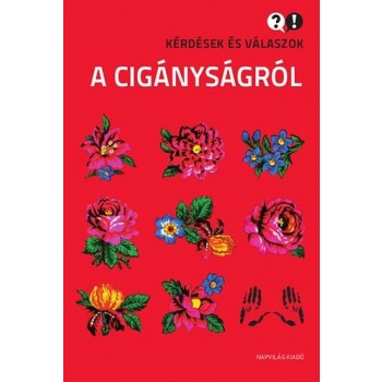 KÉRDÉSEK ÉS VÁLASZOK A CIGÁNYSÁGRÓL (2013)