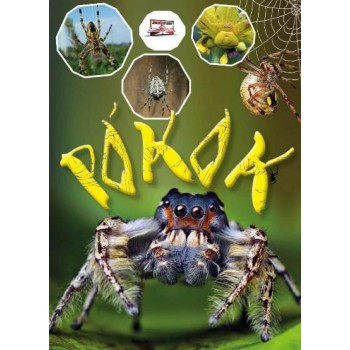PÓKOK (2013)