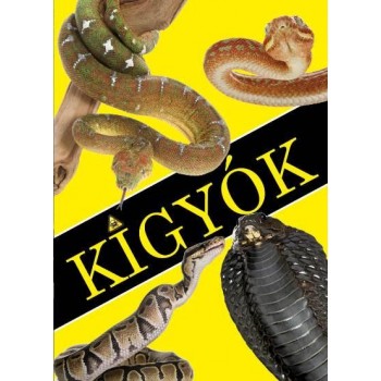 KÍGYÓK (2013)