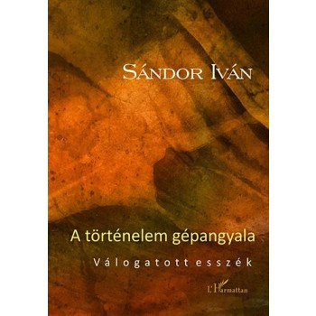 A TÖRTÉNELEM GÉPANGYALA - VÁLOGATOTT ESSZÉK (2013)