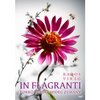 IN FLAGRANTI - FORRÓ FÜRDŐ, HIDEG ZUHANY (2013)