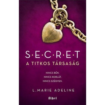 S.E.C.R.E.T. - A TITKOS TÁRSASÁG (2013)