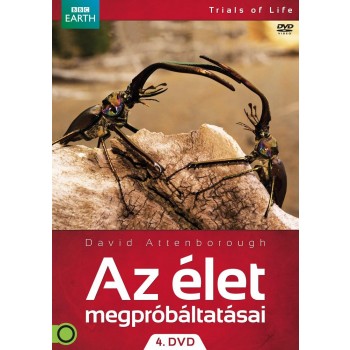 AZ ÉLET MEGPRÓBÁLTATÁSAI 4. - DVD - (2013)
