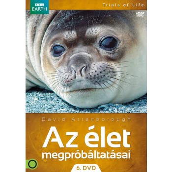 AZ ÉLET MEGPRÓBÁLTATÁSAI 6. - DVD - (2013)